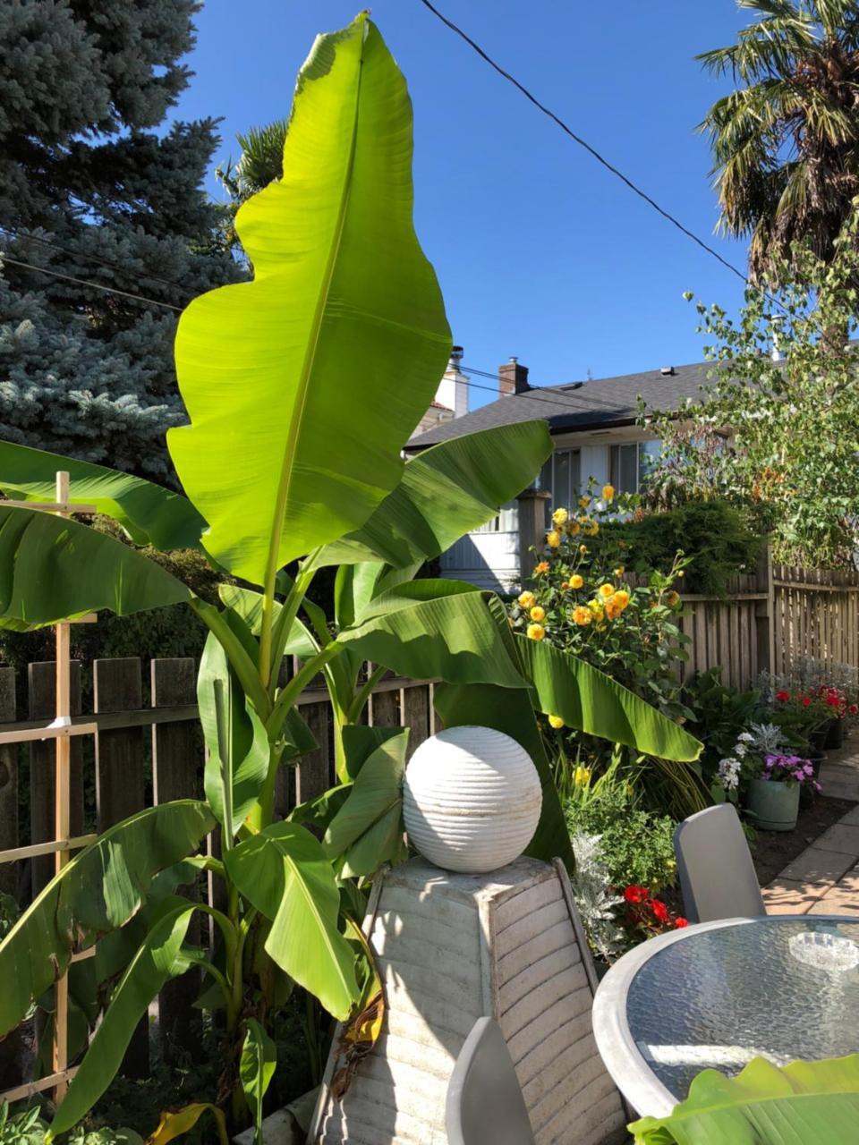 Cozy Bedrooms Guest House Vancouver Kültér fotó